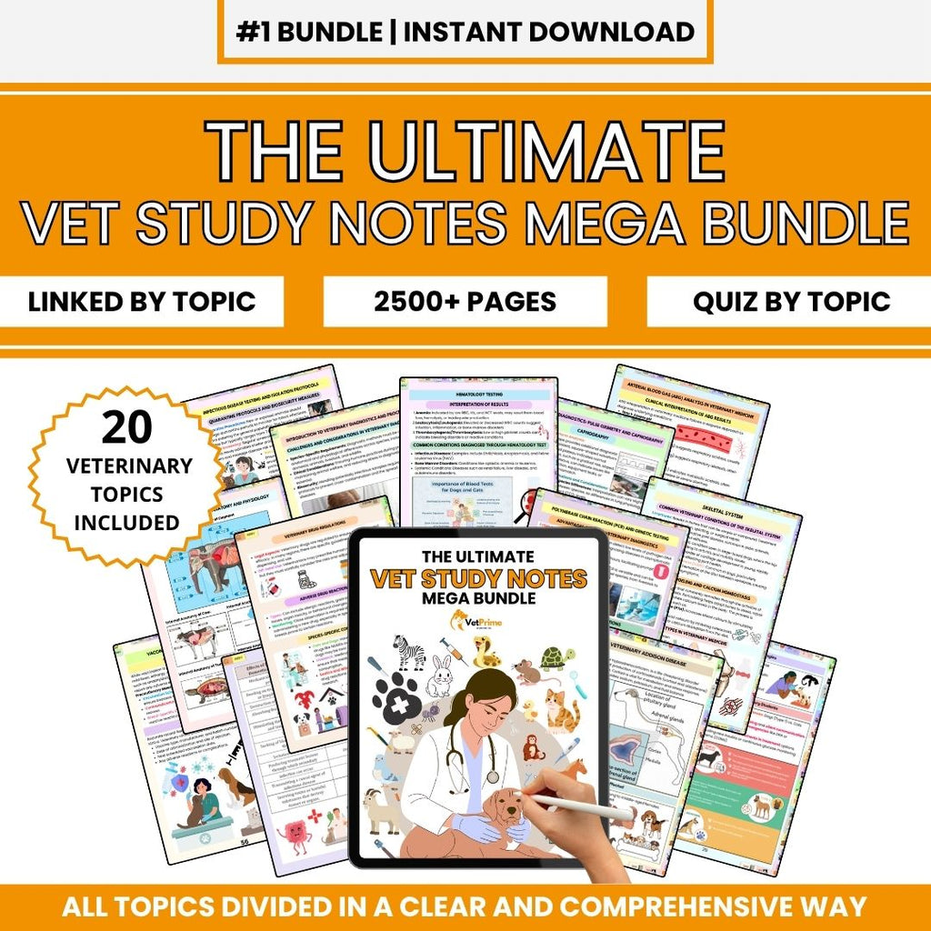 THE ULTIMATE VETERINARY STUDY NOTES BUNDLE