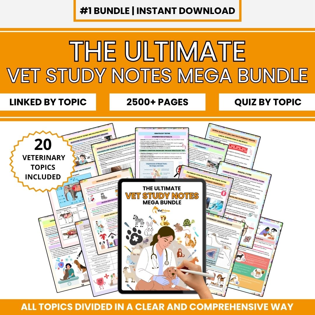 THE ULTIMATE VETERINARY STUDY NOTES BUNDLE