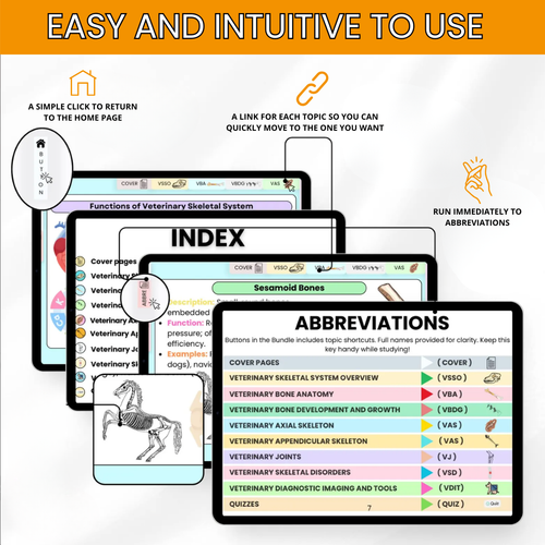 VETERINARY SKELETAL SYSTEM FLASHCARD