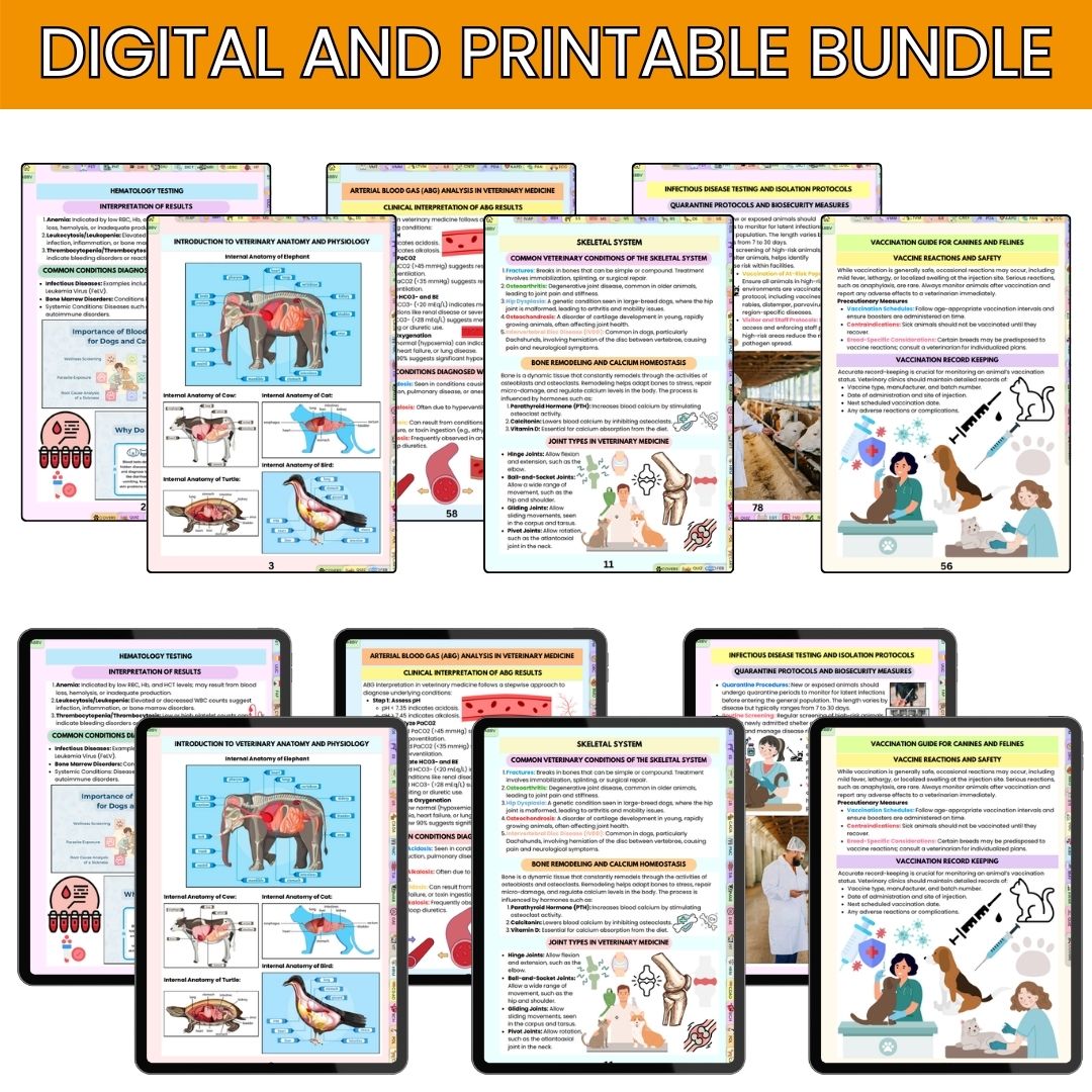 THE ULTIMATE VETERINARY STUDY NOTES BUNDLE