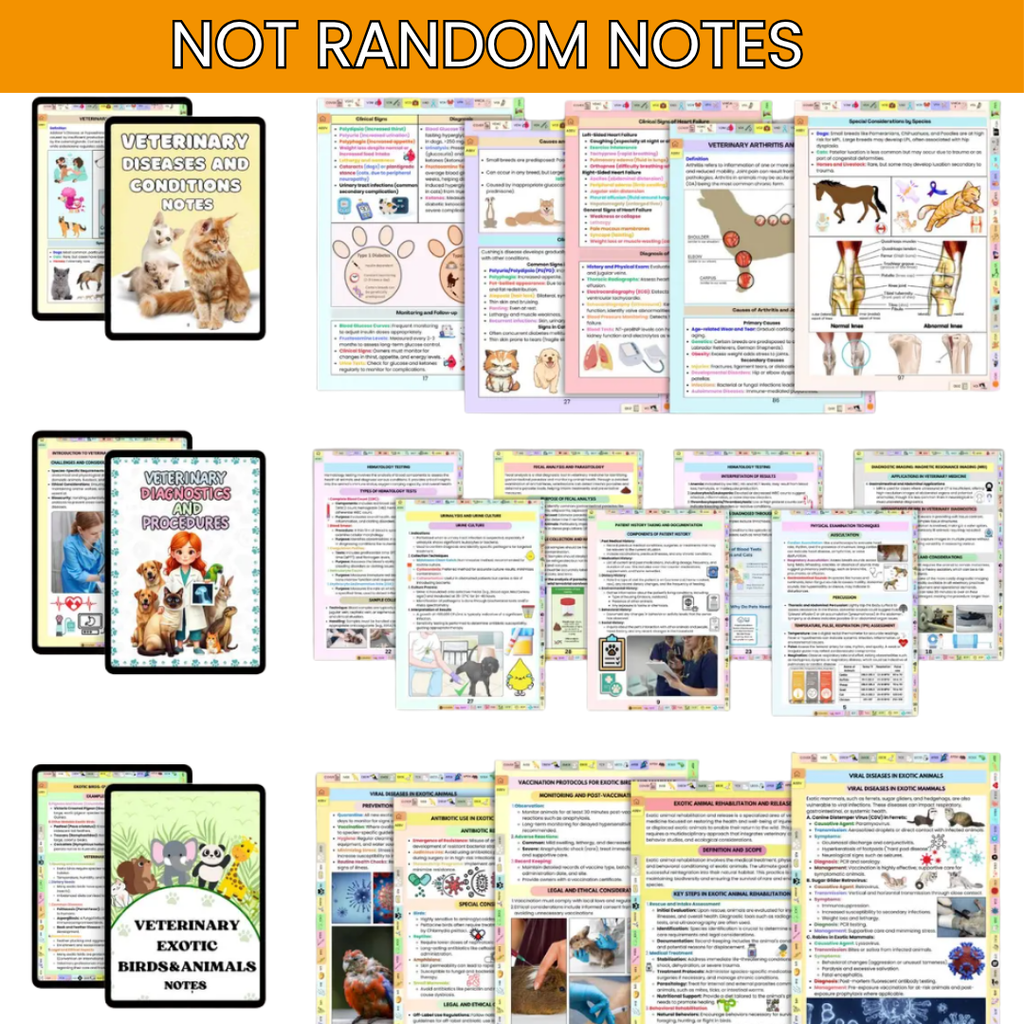 THE ULTIMATE VETERINARY STUDY NOTES BUNDLE