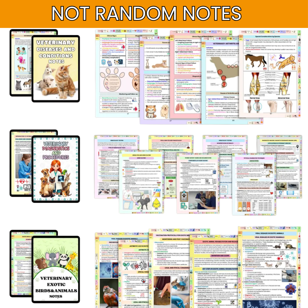 THE ULTIMATE VETERINARY STUDY NOTES BUNDLE