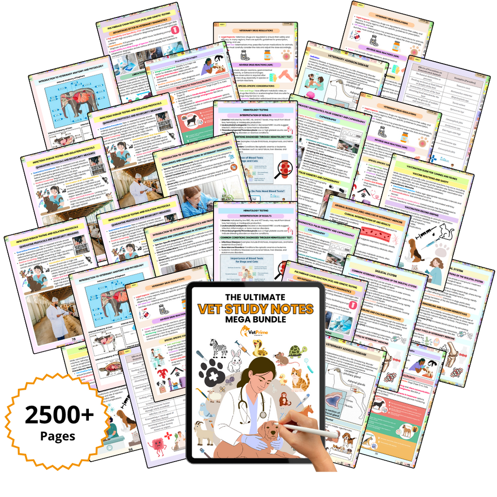 THE ULTIMATE VETERINARY STUDY NOTES BUNDLE